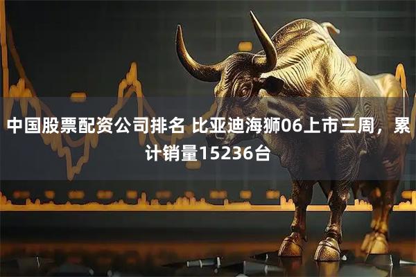 中国股票配资公司排名 比亚迪海狮06上市三周，累计销量15236台